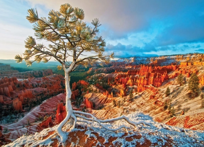Sestavljanka EUROGRAPHICS zimsko svitanje, Bryce Canyon (1000 koščkov)
