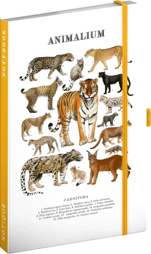 Notique Notes Animalium – mačje zveri (črtani zvezek) 13 × 21 cm
