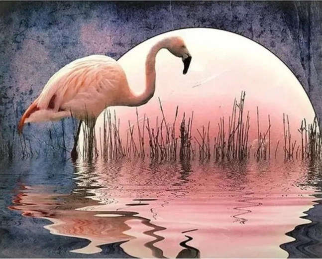 Norimpex Slikanje po številkah – plamenec 40 × 50 cm