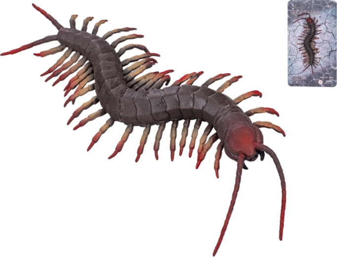 Raztegljiva stonoga 17 cm