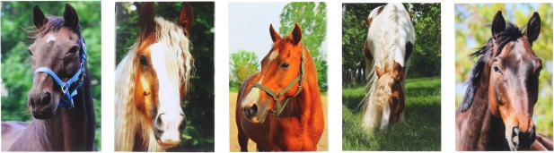 Blok z motivom konj MINI 40l, 6x8,5 cm