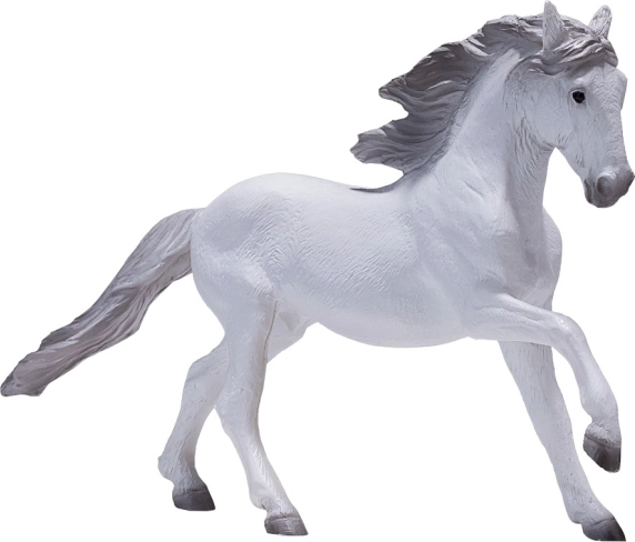 Mojo Lusitanski beli konj