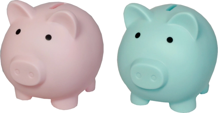 Hranilnik v obliki pujsca