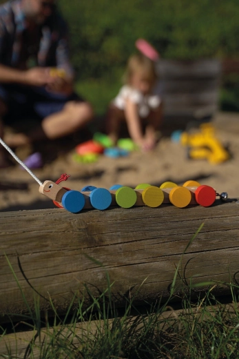Pull-along wooden caterpillar Mathilda