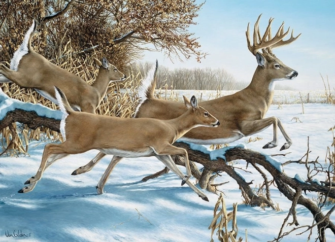 COBBLE HILL puzzle Pobeg – 1000 kosov