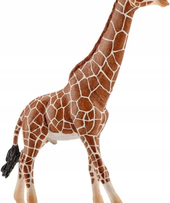 Figurica moškega žirafe Schleich Wild Life
