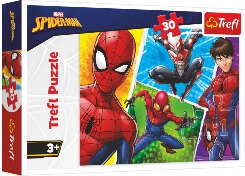 Sestavljanka Spider-Man in Miguel 30 kosov