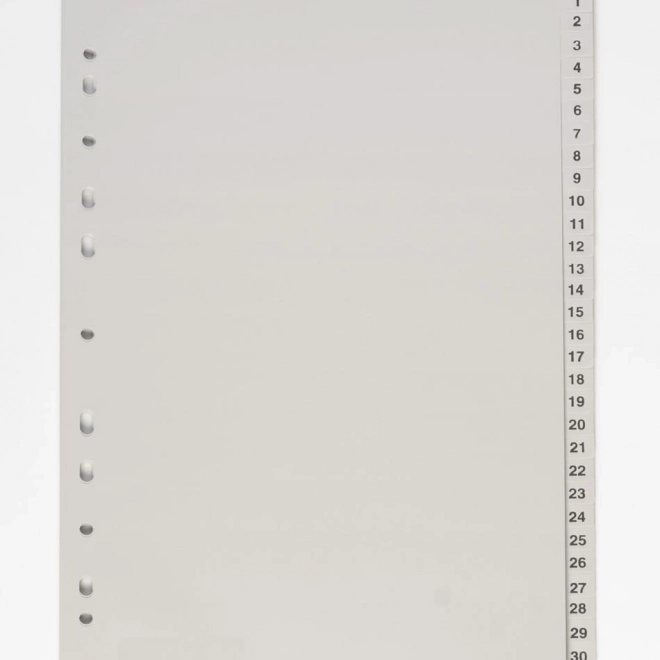 Razdelilnik dokumentov A4 1-31