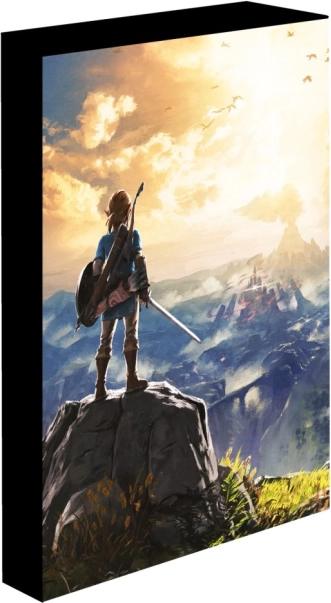 Svetleča LED slika 30x40 cm Zelda