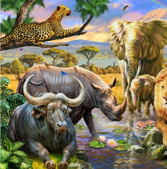 Norimpex Diamantno slikanje Kraljestvo živali 30x40cm