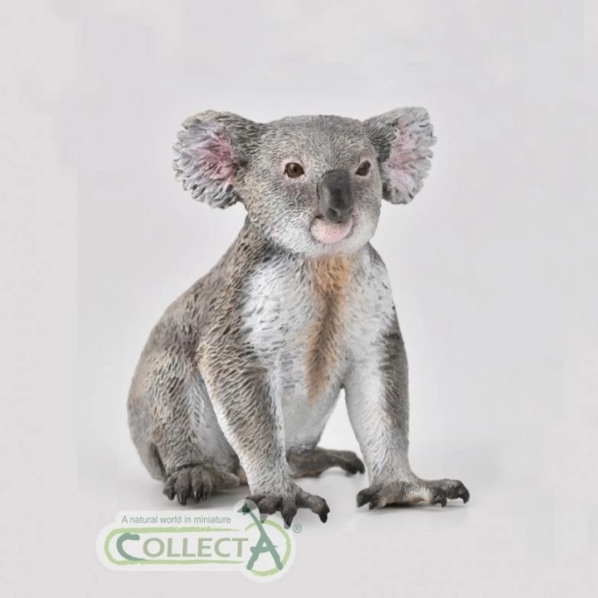 Kolekcija Koala