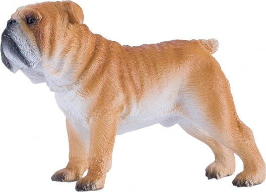 Mojo angleški buldog – realistična figurica