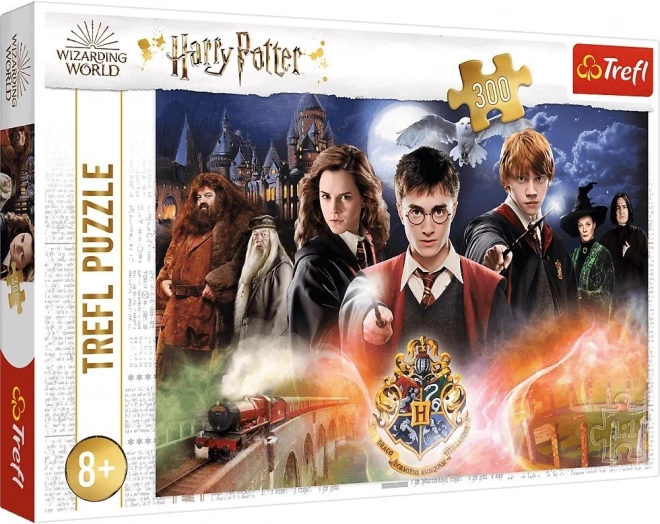 Sestavljanka HARRY POTTER – 300 kosov