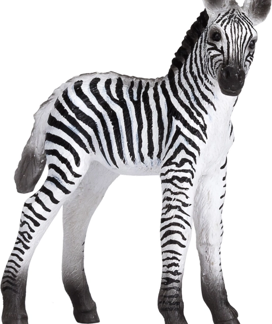 Realistična figurica mladiča zebre
