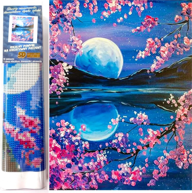 Norimpex Diamantno slikanje Vzhajajoča luna 30x40cm