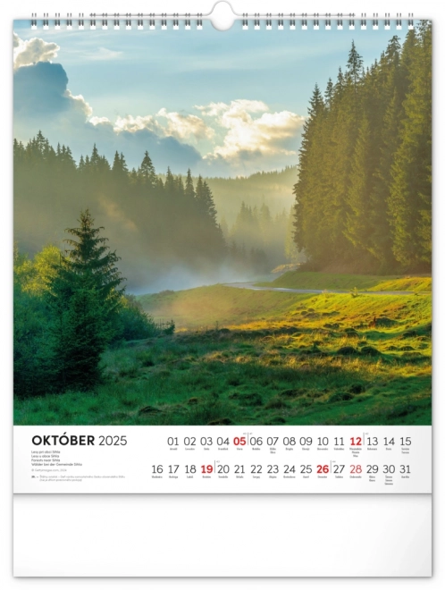 NOTIQUE Stenski koledar Čarobna Slovenija 2025, 30 x 34 cm