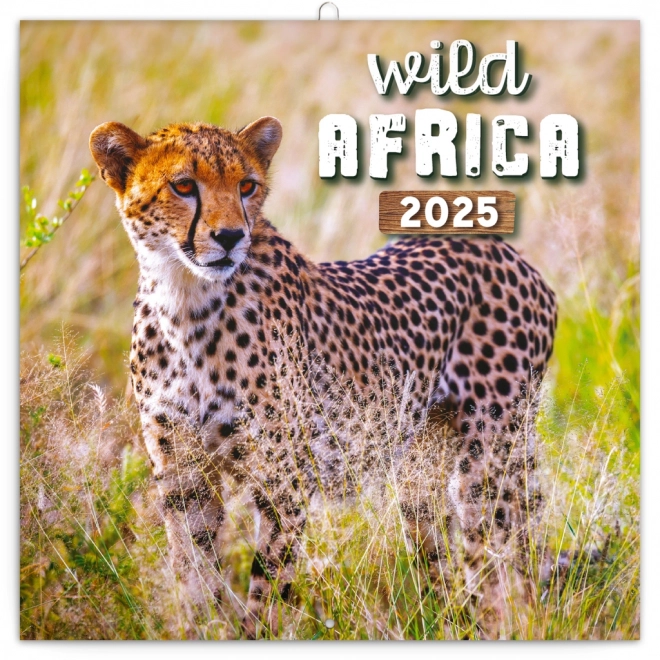 Beležnica Koledar Divja Afrika 2025, 30 × 30 cm