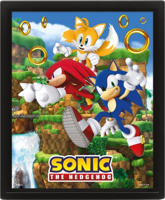 3D slika SONIC – Catching Rings
