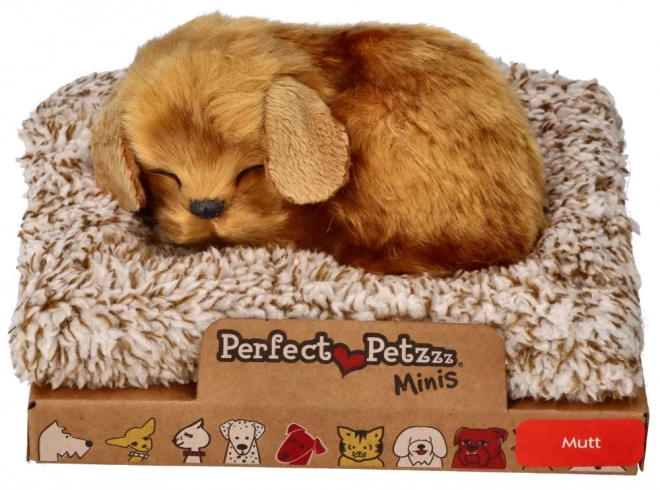 Majhen psiček Perfect Petzzz
