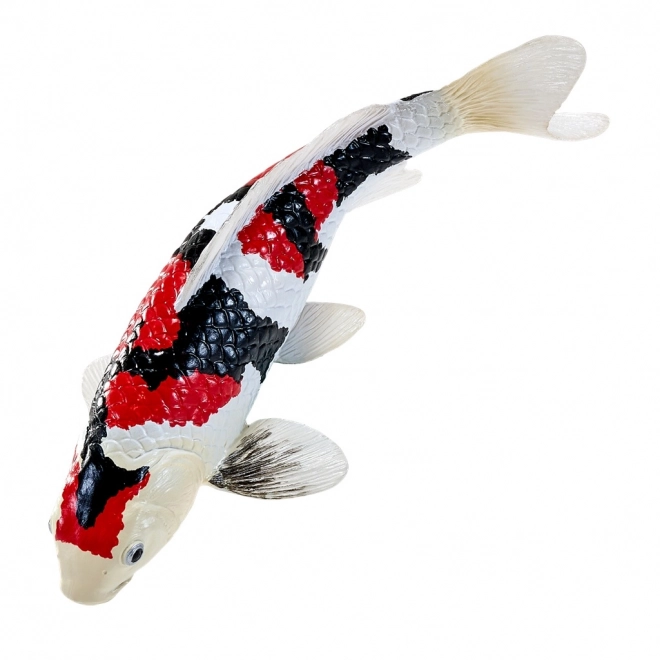 Mojo krap koi showa sanshoku