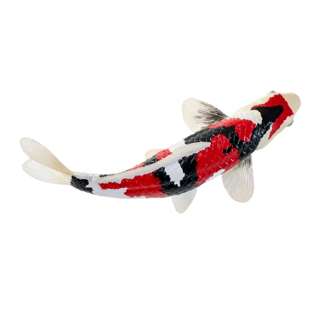 Mojo krap koi showa sanshoku