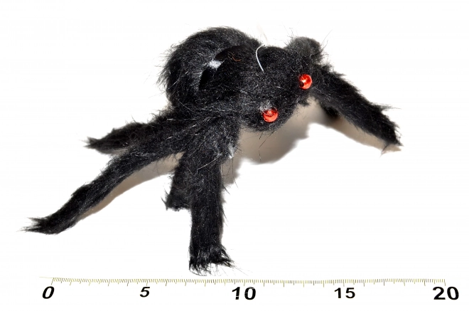 Pajek črni 30 cm