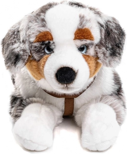 Oprtnice za več zabave