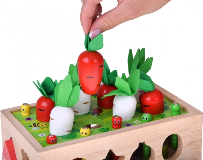 Pobiranje korenja in redkvic z volnenimi listi