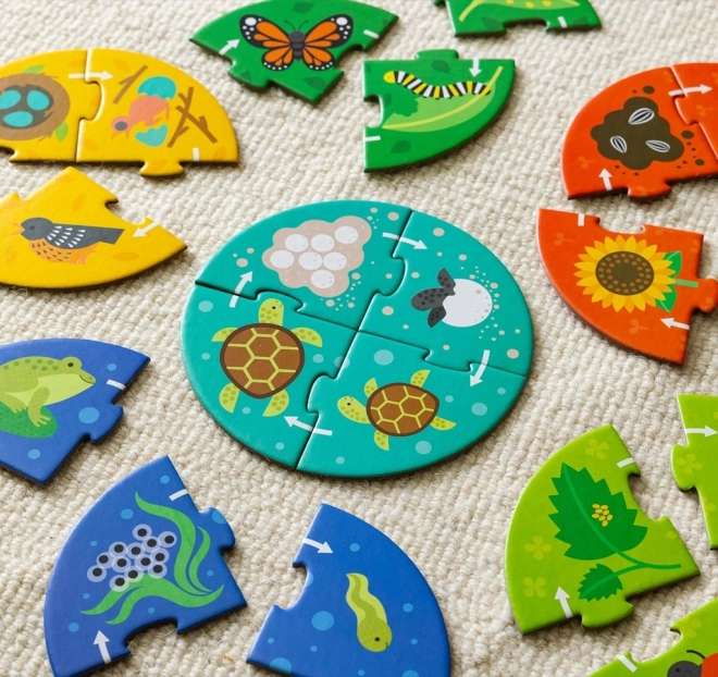 Petit Collage Puzzle Odkritelj Cikla Življenja