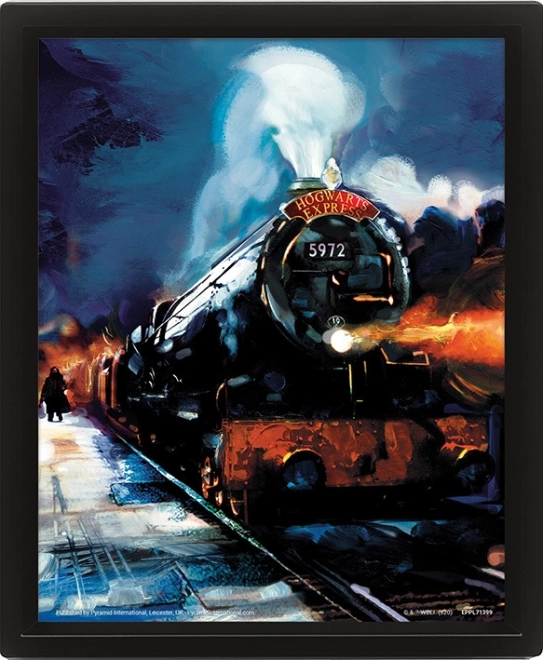 3D slika Harry Potter – Bradavičarski ekspres