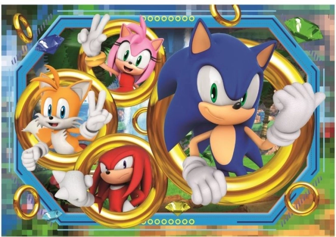 Sestavljanka Ježevec Sonic 180 kosov