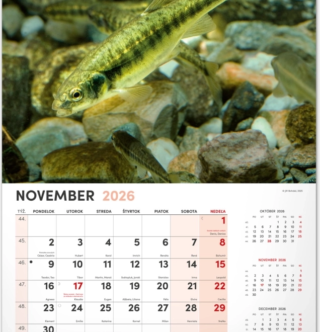 Stenski koledar Ribiški 2026