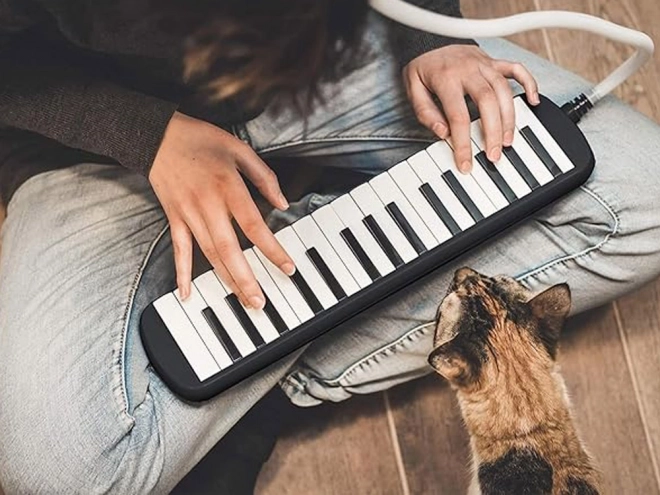Melodika s tipkami in etuijem