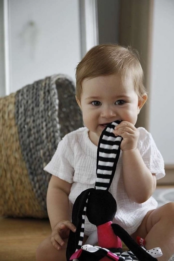 Različne teksture in šumeči elementi