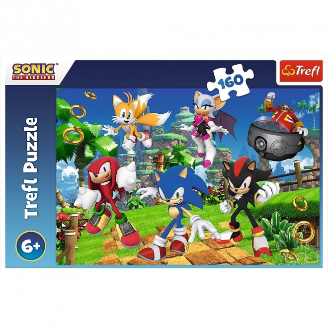 Sestavljanka Sonic in prijatelji 160 kosov