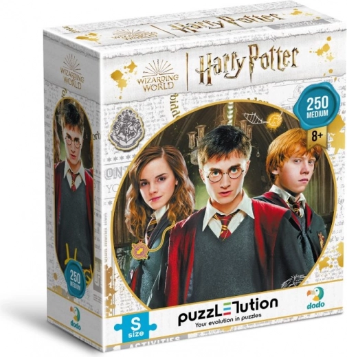 Sestavljanka DODO Harry Potter: Harry, Ron in Hermiona 250 koščkov