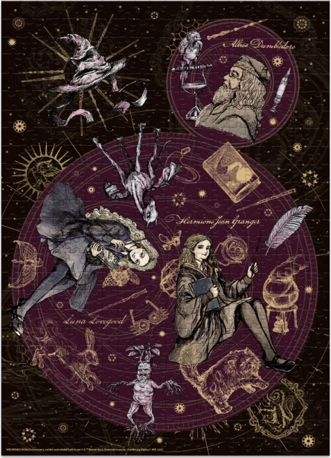 Sestavljanka Harry Potter: Dumbledore, Hermiona in Luna 500 kosov