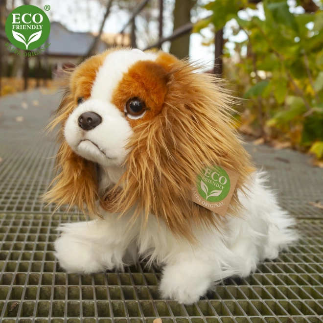 Plišasti pes King Charles španjel 25 cm