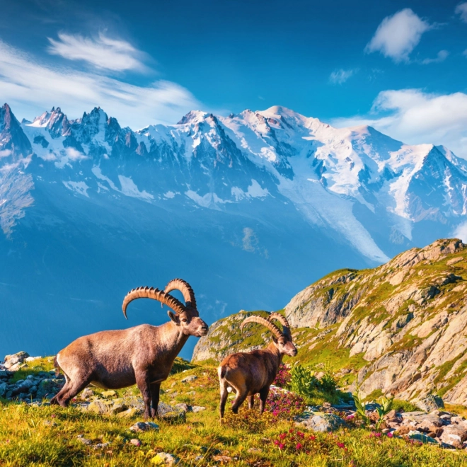 Beležka koledar Alpe 2026