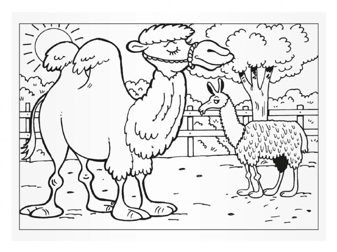 Pobarvanka MFP Obisk v ZOO