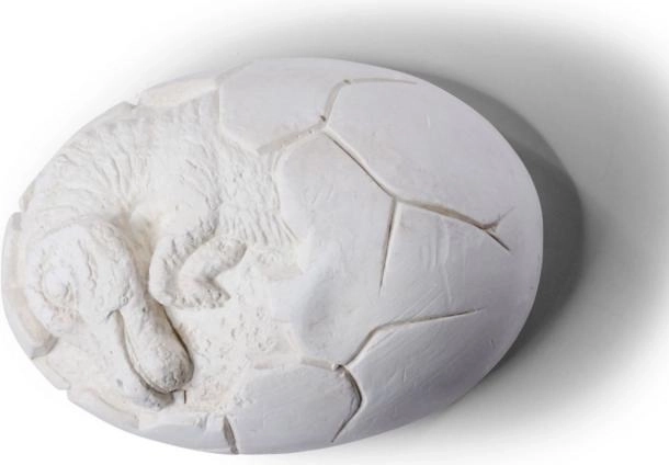 Komplet za izkopavanje dinozavrovih jajc