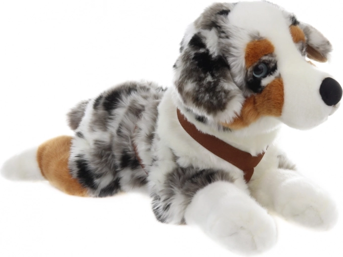 Realističen videz avstralskega ovčarja