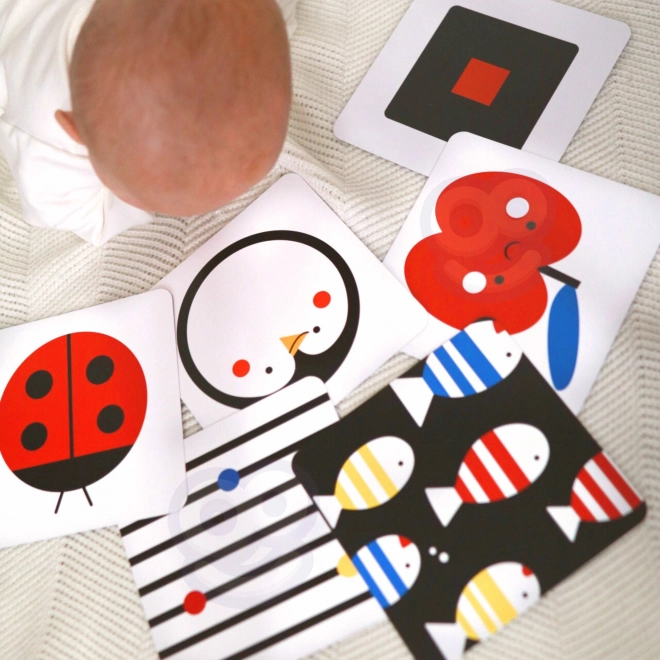 Montessori XXL izobraževalna škatla 7v1 TOOKY TOY
