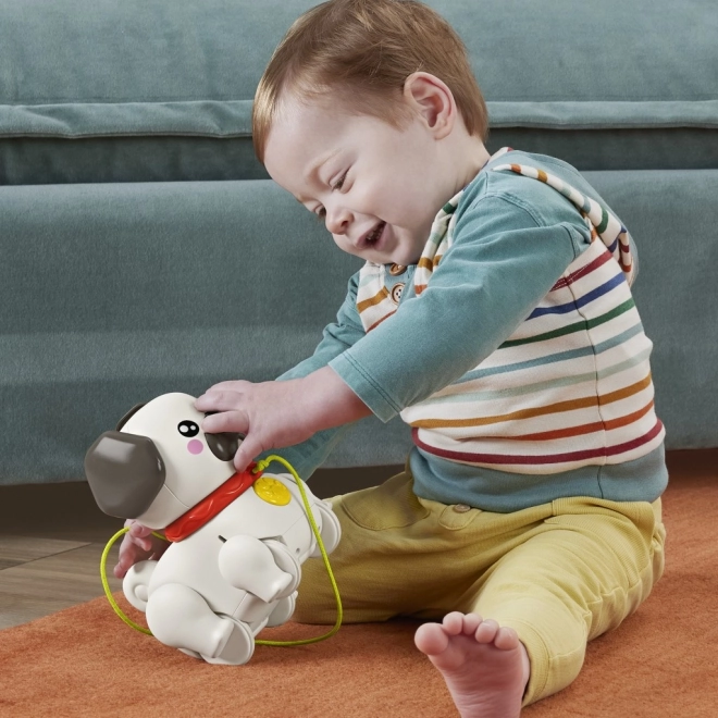 Fisher Price Sprehajalec mops HTW94