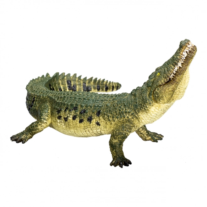 Realistični Krokodil s Premično Čeljustjo