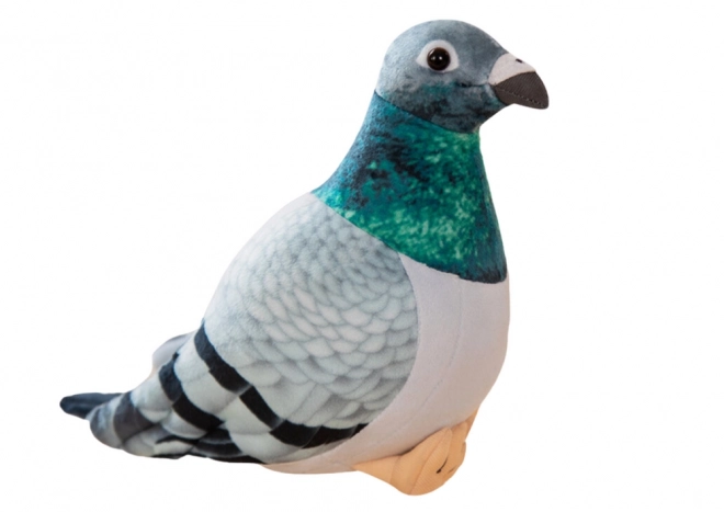 Plišasti golob siva grivna 20 cm