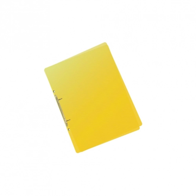 PP fascikel A5 rumen Lines
