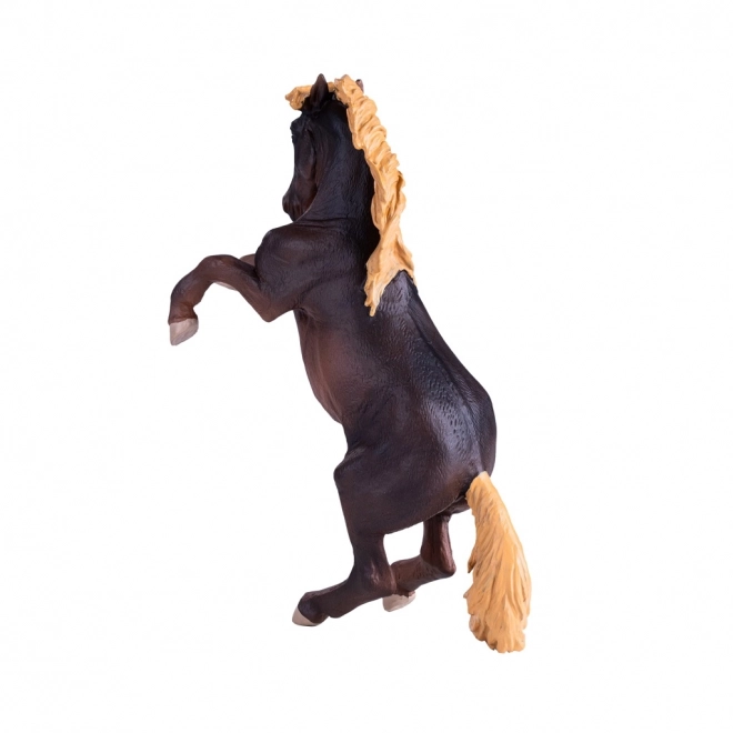 Mojo Žrebec Brumby