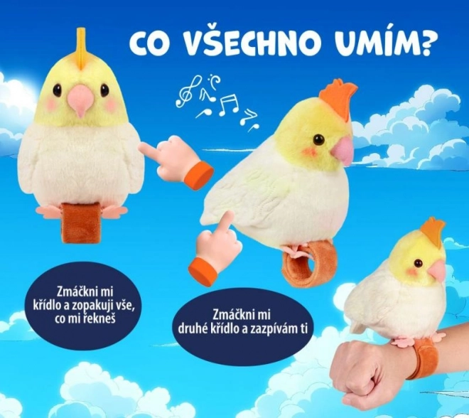 STEPPOS Papež ki ponavlja in poje