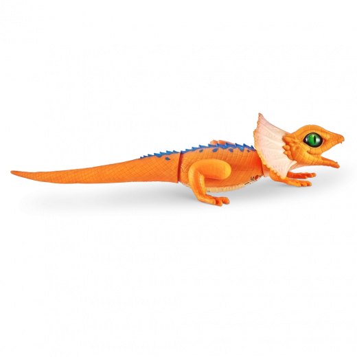 Realističen videz in barve